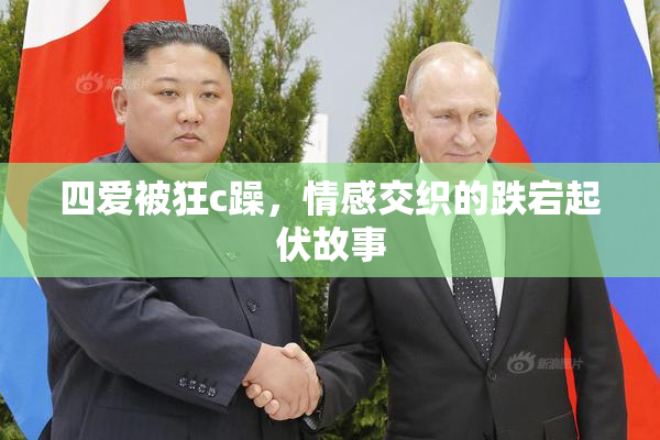 四爱被狂c躁，情感交织的跌宕起伏故事