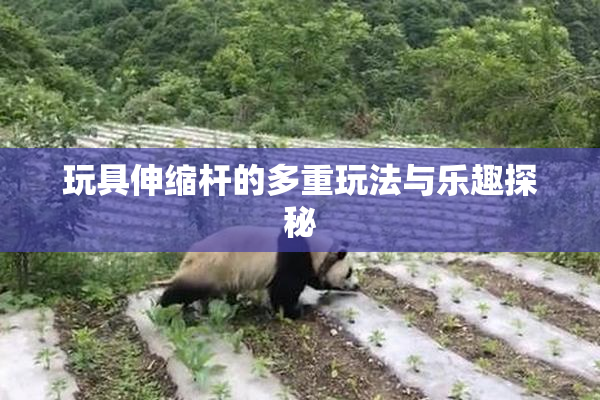 玩具伸缩杆的多重玩法与乐趣探秘