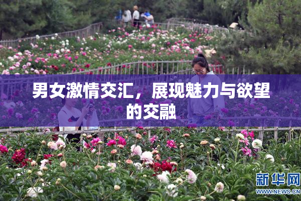 男女激情交汇，展现魅力与欲望的交融