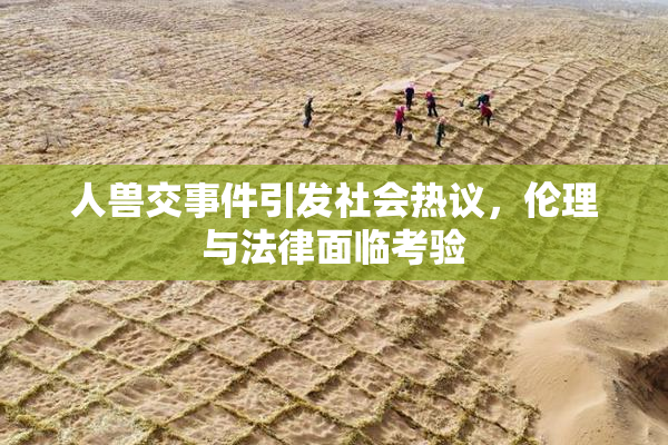 人兽交事件引发社会热议，伦理与法律面临考验