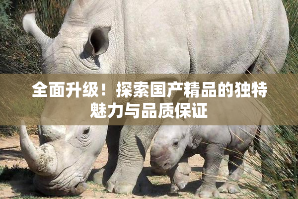 全面升级！探索国产精品的独特魅力与品质保证