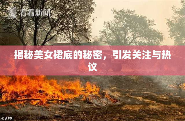 揭秘美女裙底的秘密，引发关注与热议