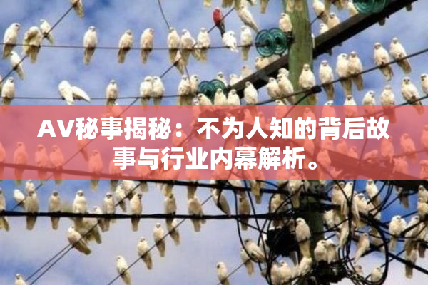 AV秘事揭秘：不为人知的背后故事与行业内幕解析。