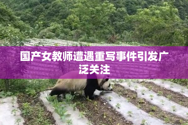 国产女教师遭遇重写事件引发广泛关注