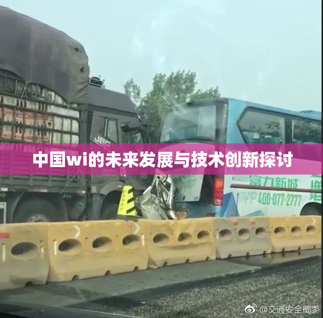 中国wi的未来发展与技术创新探讨