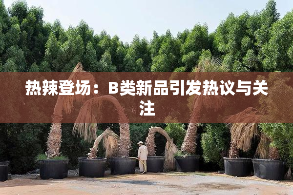 热辣登场：B类新品引发热议与关注