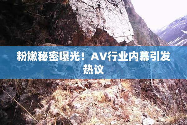 粉嫩秘密曝光！AV行业内幕引发热议