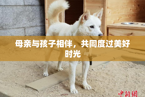 母亲与孩子相伴，共同度过美好时光