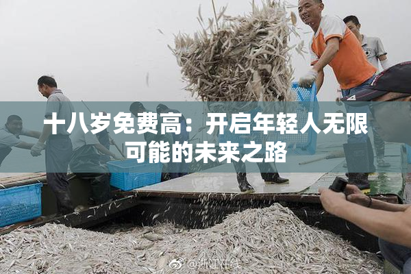 十八岁免费高：开启年轻人无限可能的未来之路