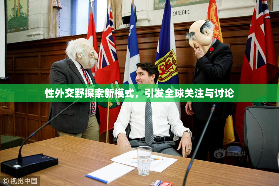 性外交野探索新模式，引发全球关注与讨论
