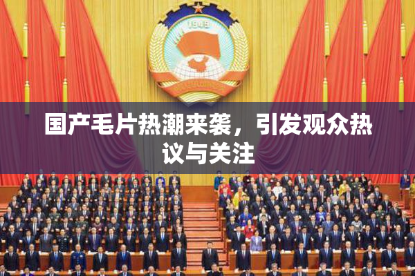 国产毛片热潮来袭，引发观众热议与关注