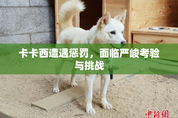卡卡西遭遇惩罚，面临严峻考验与挑战