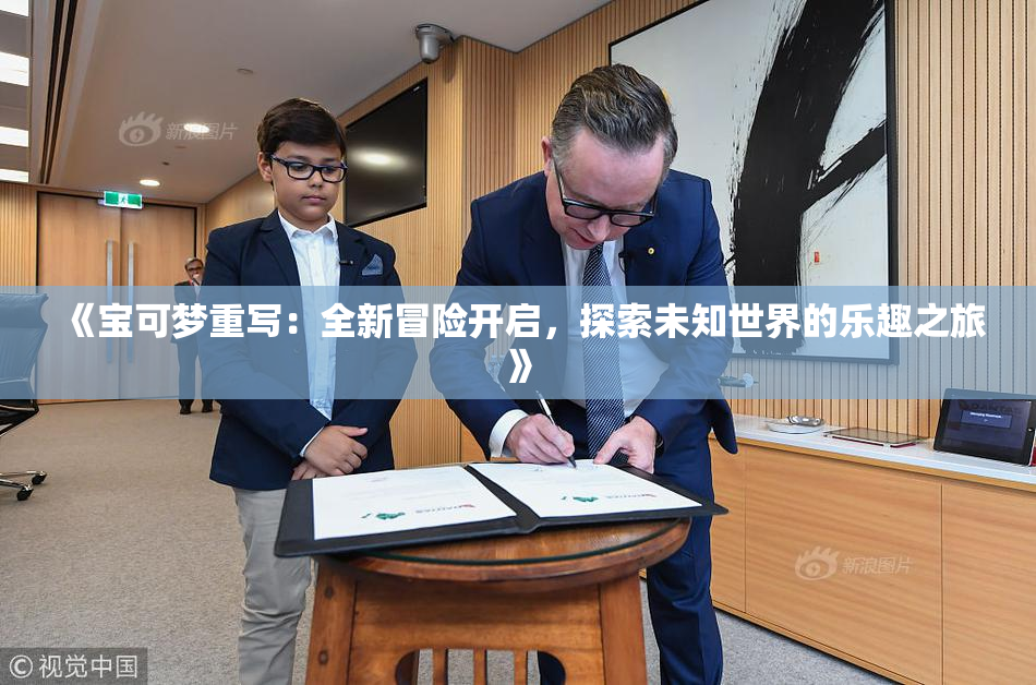《宝可梦重写：全新冒险开启，探索未知世界的乐趣之旅》