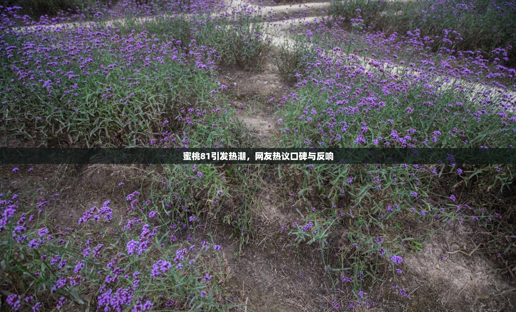 蜜桃81引发热潮，网友热议口碑与反响