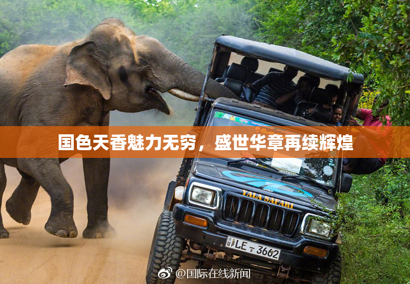 国色天香魅力无穷，盛世华章再续辉煌