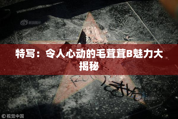 特写：令人心动的毛茸茸B魅力大揭秘