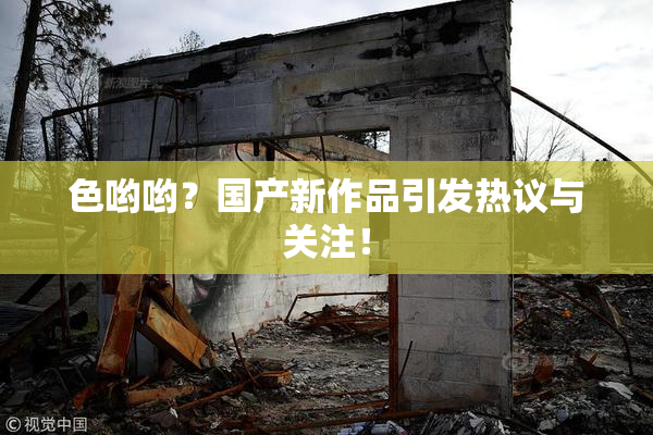 色哟哟？国产新作品引发热议与关注！