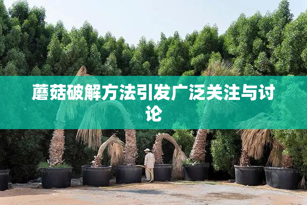 蘑菇破解方法引发广泛关注与讨论