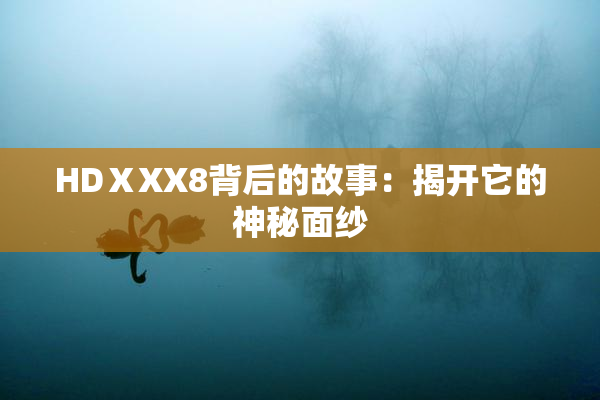 HDⅩXX8背后的故事：揭开它的神秘面纱