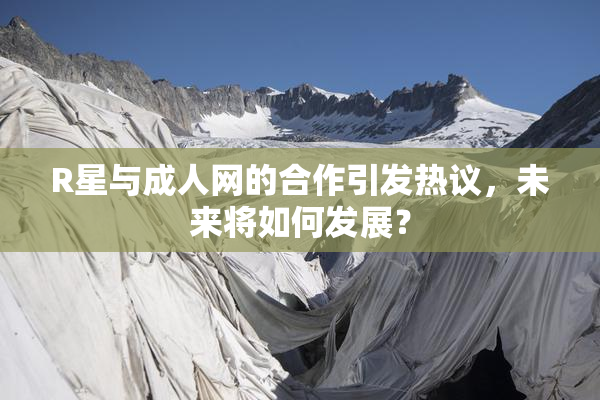 R星与成人网的合作引发热议，未来将如何发展？