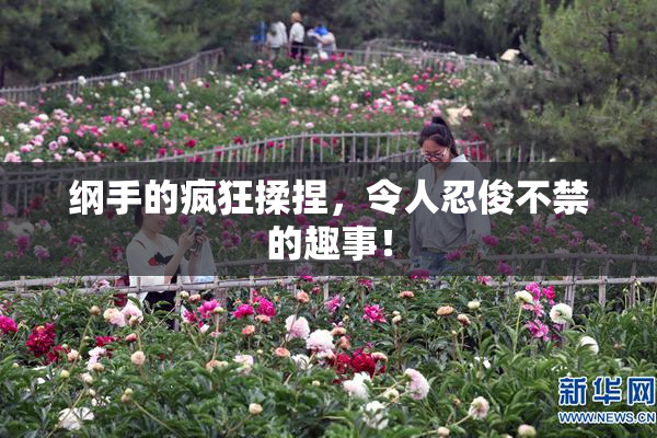 纲手的疯狂揉捏，令人忍俊不禁的趣事！