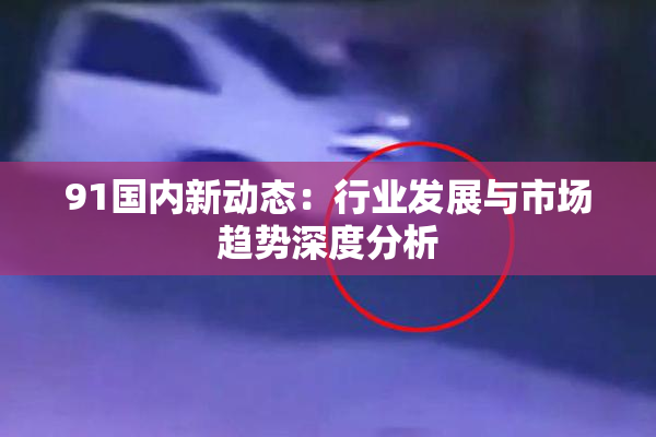 91国内新动态：行业发展与市场趋势深度分析