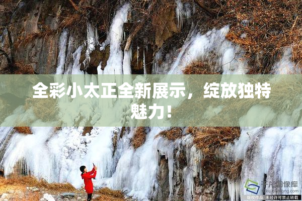 全彩小太正全新展示，绽放独特魅力！