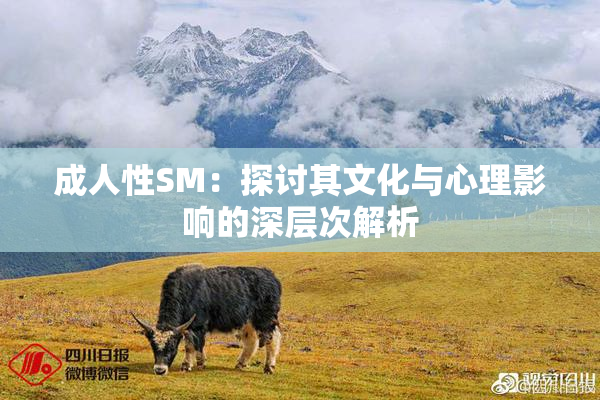成人性SM：探讨其文化与心理影响的深层次解析