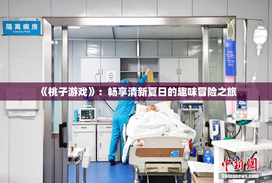 《桃子游戏》：畅享清新夏日的趣味冒险之旅
