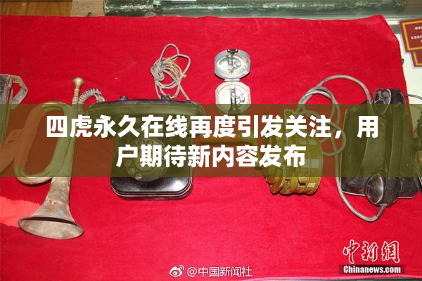 四虎永久在线再度引发关注，用户期待新内容发布