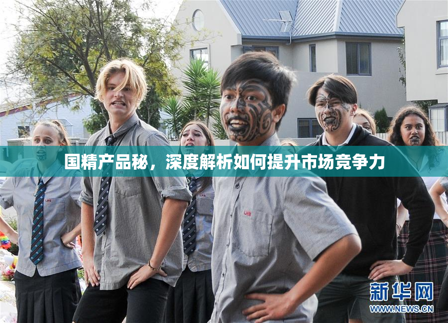 国精产品秘，深度解析如何提升市场竞争力