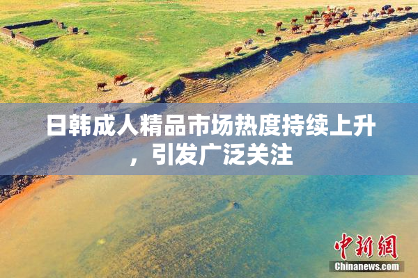 日韩成人精品市场热度持续上升，引发广泛关注
