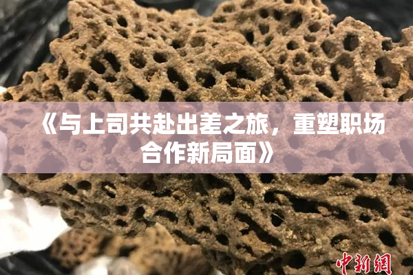 《与上司共赴出差之旅，重塑职场合作新局面》