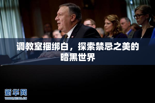 调教室捆绑白，探索禁忌之美的暗黑世界