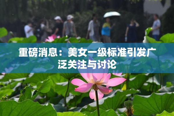 重磅消息：美女一级标准引发广泛关注与讨论