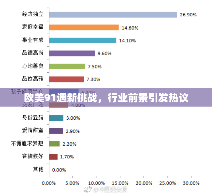 欧美91遇新挑战，行业前景引发热议