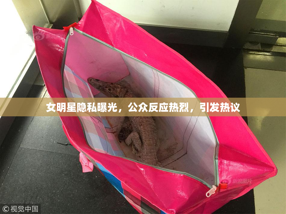 女明星隐私曝光，公众反应热烈，引发热议