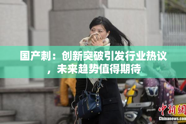 国产刺：创新突破引发行业热议，未来趋势值得期待