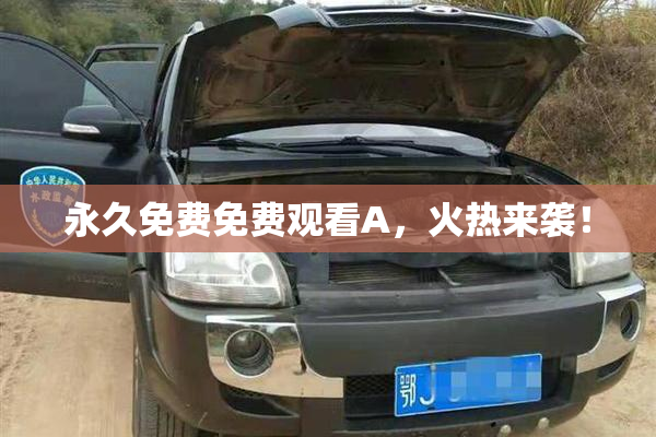 永久免费免费观看A，火热来袭！
