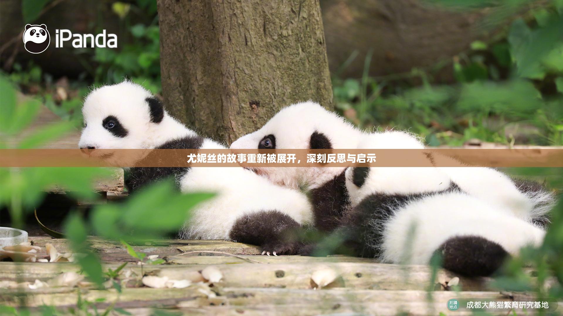 尤妮丝的故事重新被展开，深刻反思与启示