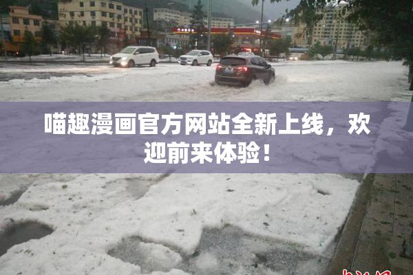 喵趣漫画官方网站全新上线，欢迎前来体验！