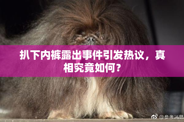 扒下内裤露出事件引发热议，真相究竟如何？