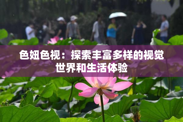 色妞色视：探索丰富多样的视觉世界和生活体验