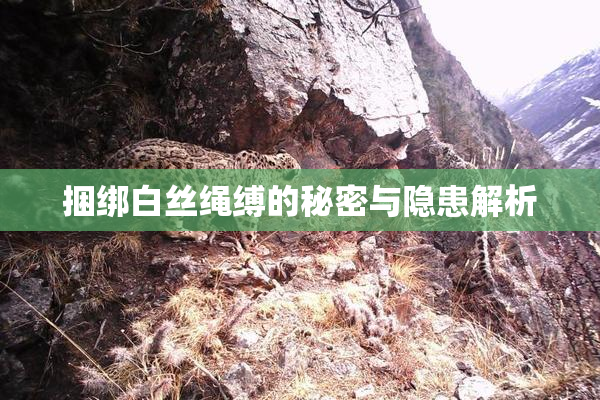 捆绑白丝绳缚的秘密与隐患解析