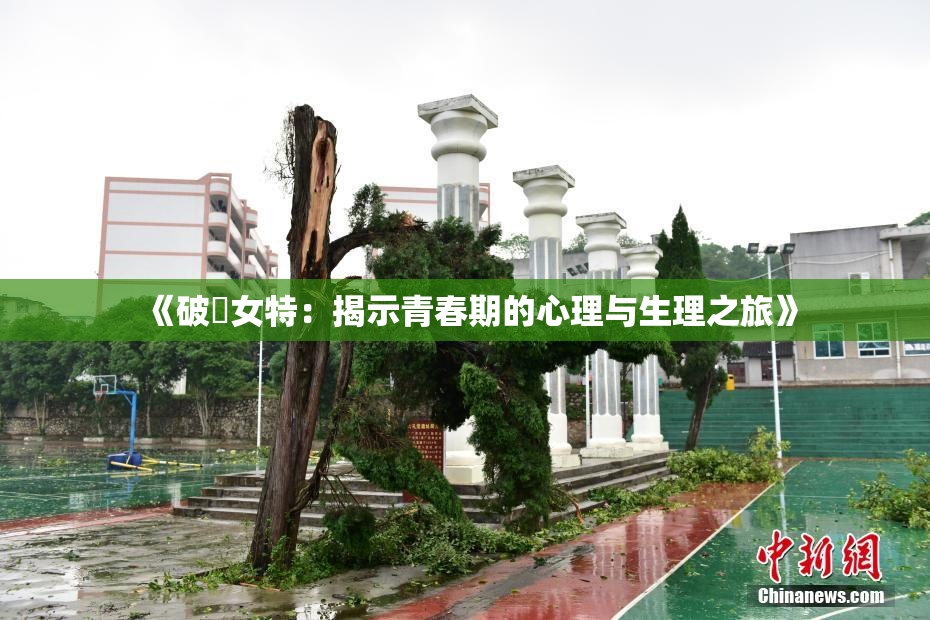 《破處女特：揭示青春期的心理与生理之旅》