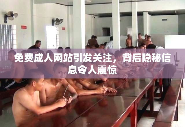 免费成人网站引发关注，背后隐秘信息令人震惊