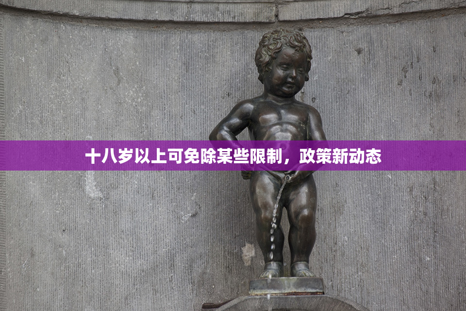 十八岁以上可免除某些限制，政策新动态