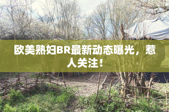 欧美熟妇BR最新动态曝光，惹人关注！