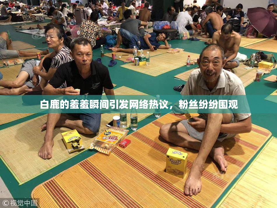 白鹿的羞羞瞬间引发网络热议，粉丝纷纷围观