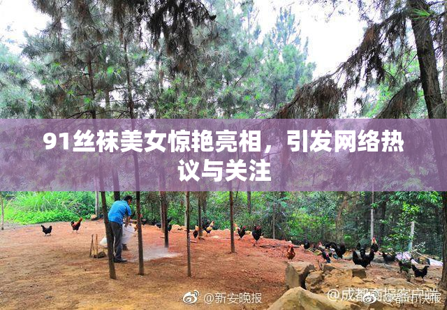 91丝袜美女惊艳亮相，引发网络热议与关注